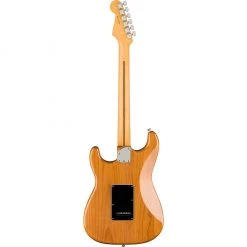 Fender - American Professional II Stratocaster® HSS - Maple Fingerboard - Roasted Pine Electric Guitars