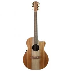 Acoustic Guitars Cole Clark Angel AN2EC - All Blackwood