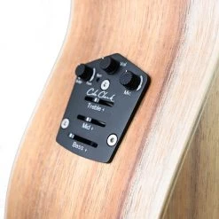 Acoustic Guitars Cole Clark Angel AN2EC - All Blackwood