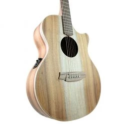 Acoustic Guitars Cole Clark Angel AN2EC - All Blackwood