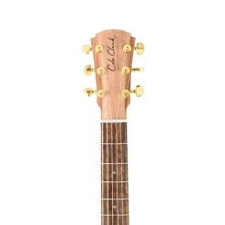 Acoustic Guitars Cole Clark Angel AN2EC - Redwood Blackwood