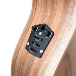 Acoustic Guitars Cole Clark Angel AN2EC - Redwood Blackwood