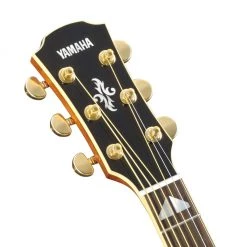 Yamaha APX1000 - Natural Acoustic Guitars