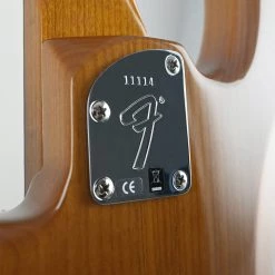 Bass Guitars Fender Custom Shop - 2018 Artisan Precision Bass - Spalted Maple