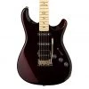 PRS - Fiore - Black Iris Electric Guitars