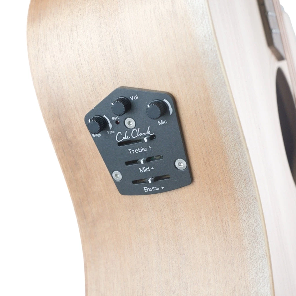 Cole Clark FL1EC Bunya Maple