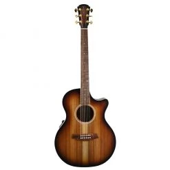 Cole Clark AN2EC - Blackwood Sunburst Acoustic Guitars