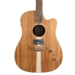 Cole Clark FL2EC Humbucker - All Blackwood Acoustic Guitars