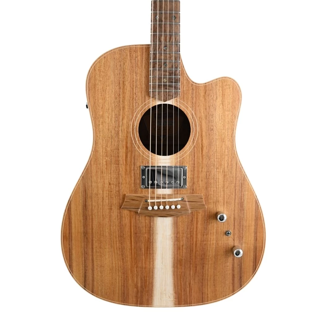 Cole Clark FL2EC Humbucker - All Blackwood Acoustic Guitars