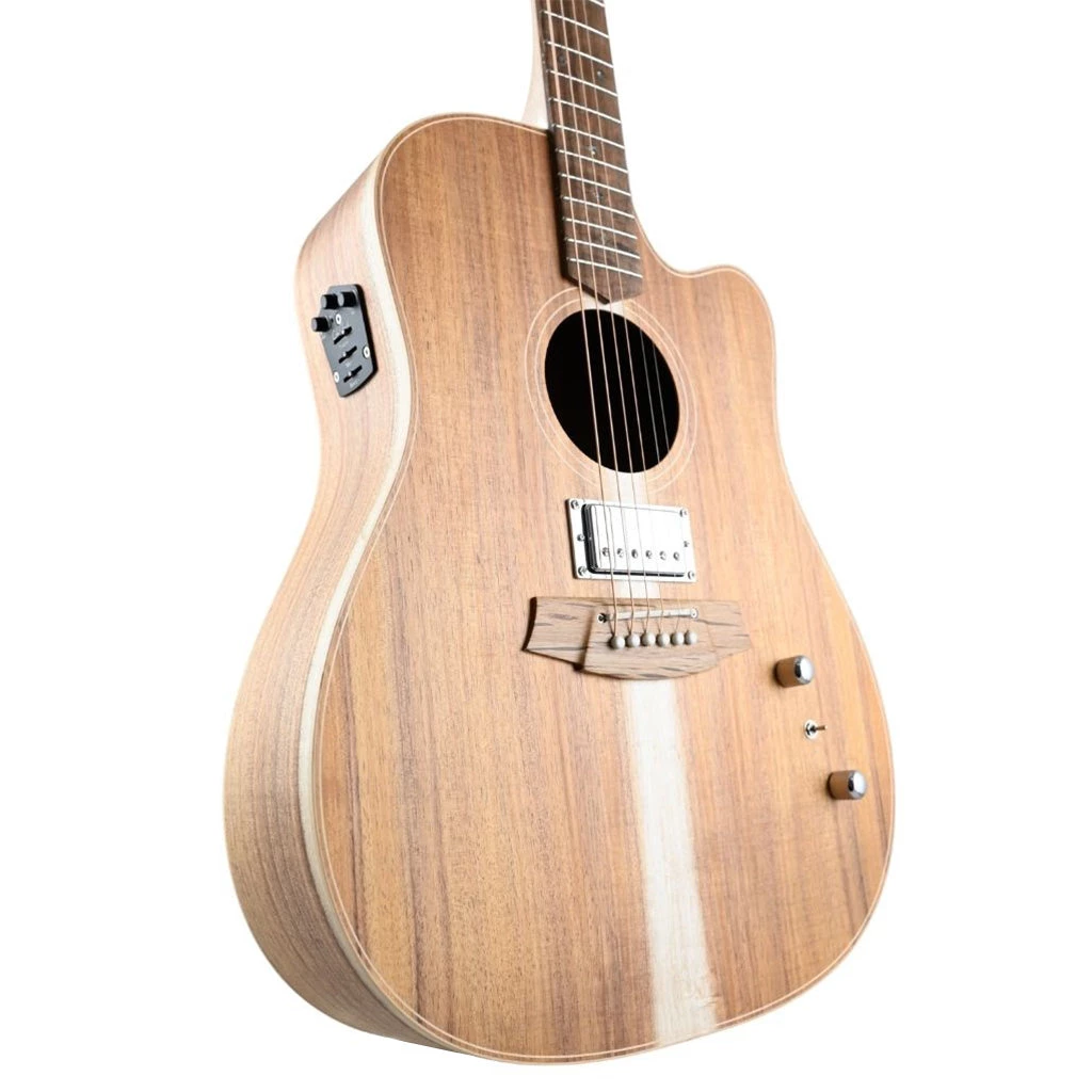 Cole Clark FL2EC Humbucker - All Blackwood Acoustic Guitars