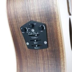 Acoustic Guitars Cole Clark AN2EC Bunya Blackwood