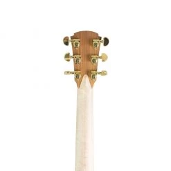 Cole Clark TL2EC - Thin Line - All Blackwood Acoustic Guitars