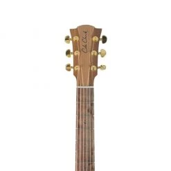 Acoustic Guitars Cole Clark - FL2EC Dreadnought - Redwood Blackwood