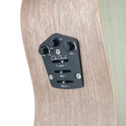 Cole Clark - FL1EC Dreadnought - Bunya Maple Acoustic Guitars