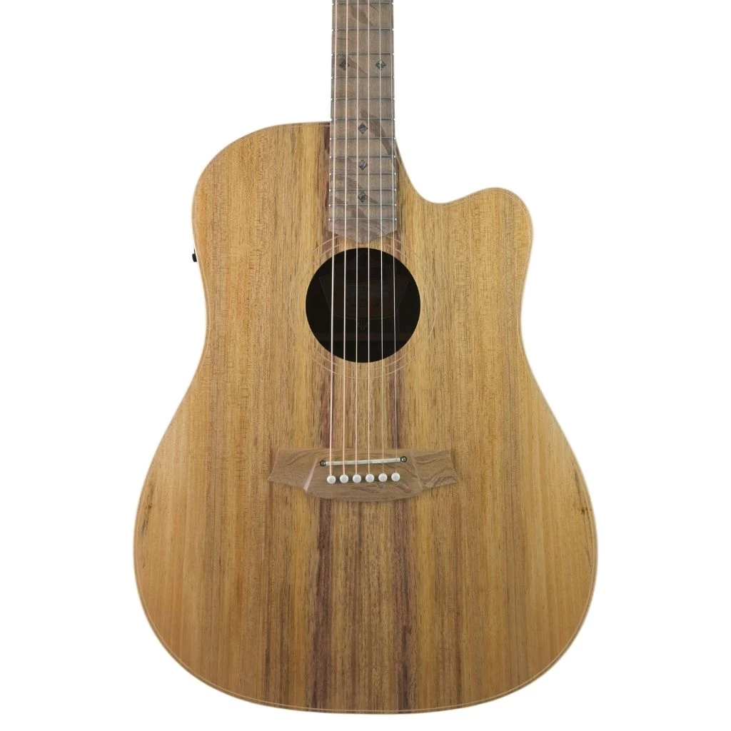 Cole Clark FL2EC-BLBL All Blackwood Acoustic Guitars