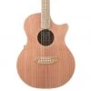 Cole Clark - Angel CCAN2EC-RDBL - Redwood Blackwood (Serial No. 211210281)