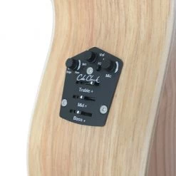 Cole Clark - Angel CCAN2EC-RDBL - Redwood Blackwood (Serial No. 211210281)