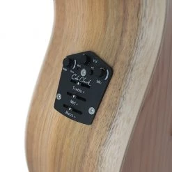 Acoustic Guitars Cole Clark - Angel CCAN2EC-RDBL - Redwood Blackwood (Serial No. 211210284)