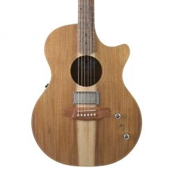 Cole Clark - Angel CCAN2EC-BLBL-H - All Blackwood Humbucker Acoustic Guitars