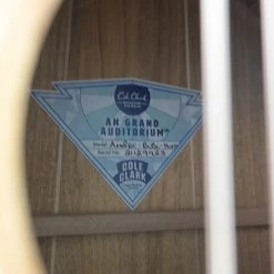 Cole Clark - Angel CCAN2EC-BLBL-H - All Blackwood Humbucker Acoustic Guitars