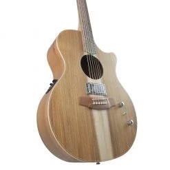 Cole Clark - Angel CCAN2EC-BLBL-H - All Blackwood Humbucker Acoustic Guitars