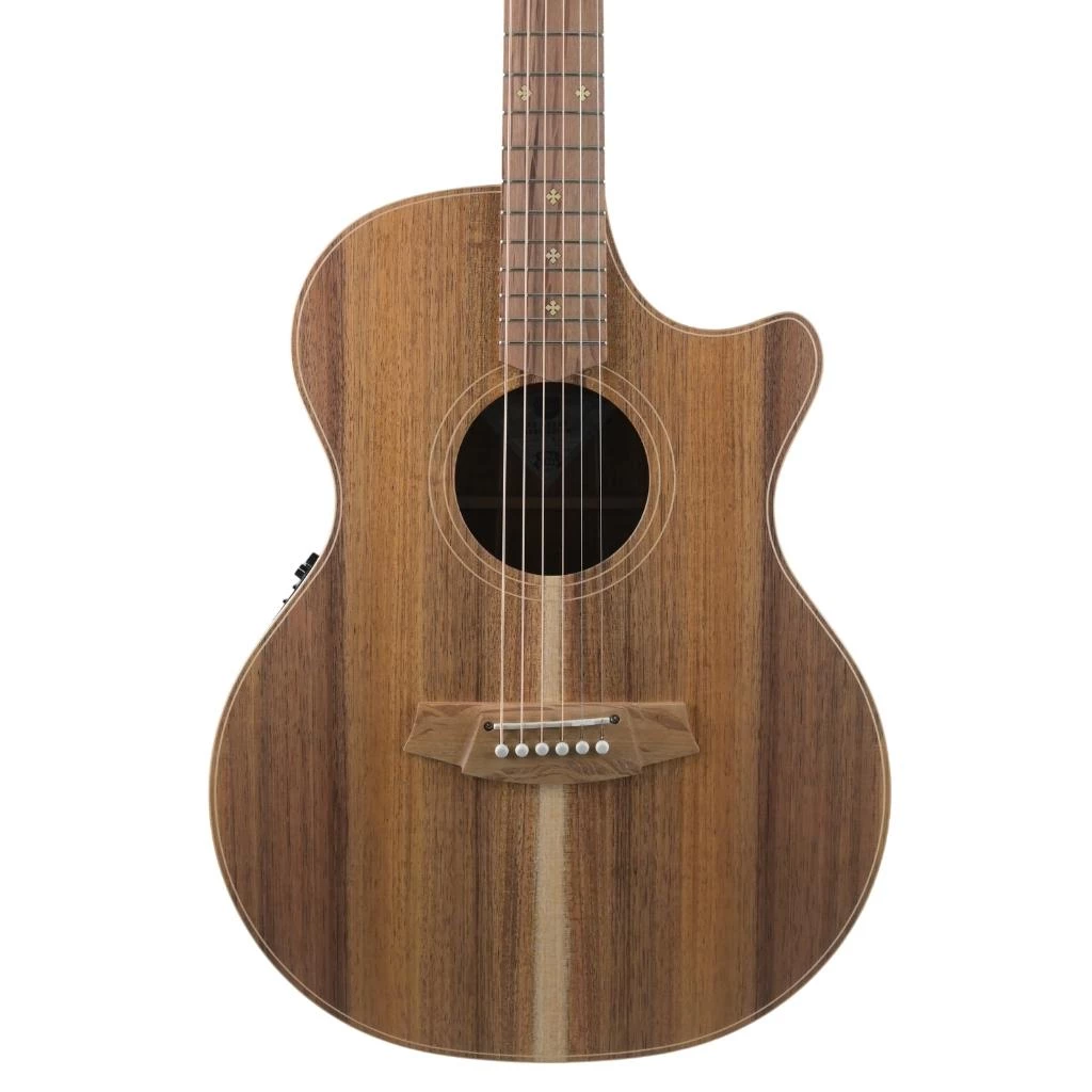 Acoustic Guitars Cole Clark - AN2 Auditorium - All Blackwood