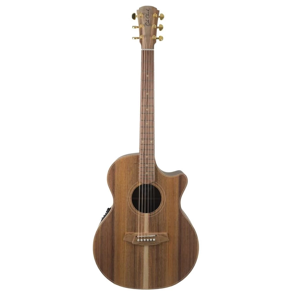 Acoustic Guitars Cole Clark - AN2 Auditorium - All Blackwood