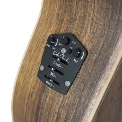 Acoustic Guitars Cole Clark - AN2 Auditorium - All Blackwood