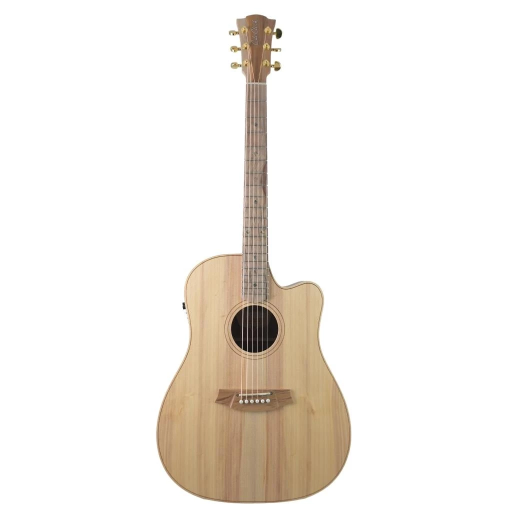 Cole Clark FL2EC Dreadnought - Bunya Top - Blackwood B&S Acoustic Guitars