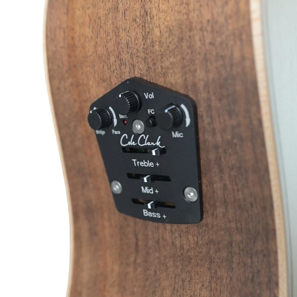 Cole Clark FL2EC Dreadnought - Bunya Top - Blackwood B&S Acoustic Guitars