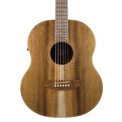Cole Clark LL2E Mini - All Blackwood Acoustic Guitars