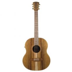 Cole Clark LL2E Mini - All Blackwood Acoustic Guitars