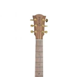 Cole Clark FL2EC W/ Humbucker - All Blackwood Acoustic Guitars