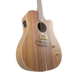 Cole Clark FL2EC W/ Humbucker - All Blackwood Acoustic Guitars