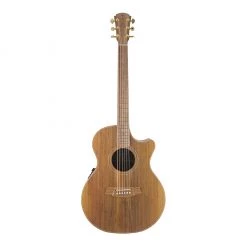 Acoustic Guitars Cole Clark AN2EC - All Blackwood - 220510394
