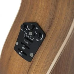 Acoustic Guitars Cole Clark AN2EC - All Blackwood - 220510394