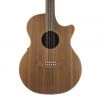 Cole Clark AN2EC - All Blackwood - 220513702 Acoustic Guitars