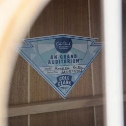 Cole Clark AN2EC - All Blackwood - 220513702 Acoustic Guitars