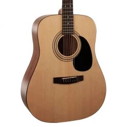 Acoustic Guitars Cort CAP810 Guitar Pack