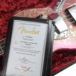 Fender Custom Shop - Limited Edition Custom Paisley Jazz Bass - Heavy Relic Bass Guitars