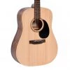 Ditson 10 Series Dreadnought - Natural Acoustic Guitars