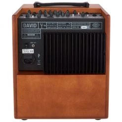 Schertler David 100 Watt Acoustic Guitar Amplifier - Wood