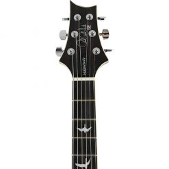 Electric Guitars PRS SE Hollowbody Standard - Fire Red Burst