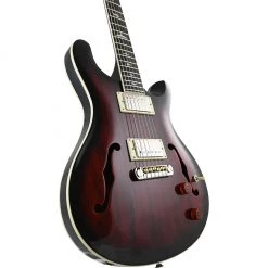 Electric Guitars PRS SE Hollowbody Standard - Fire Red Burst