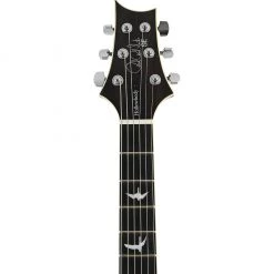 Electric Guitars PRS SE Hollowbody Standard - McCarty Tobacco Sunburst