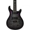 PRS SE - Mark Holcomb SVN - Holcomb Burst Electric Guitars
