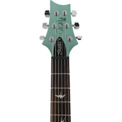 Electric Guitars PRS SE - Starla - Frost Green Metallic