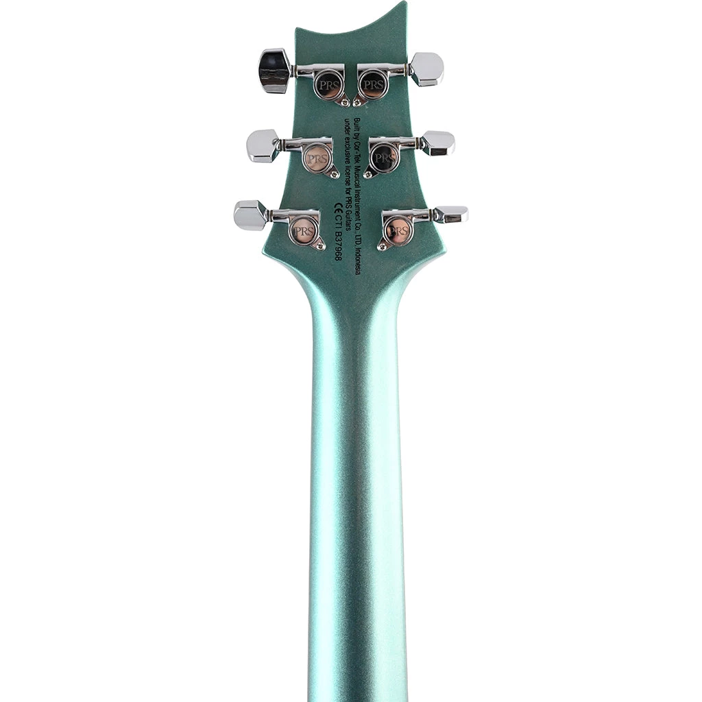 Electric Guitars PRS SE - Starla - Frost Green Metallic