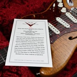 Fender Custom Shop Fender - Custom Shop Artisan Spalted Maple Thinline Stratocaster