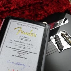 Fender Custom Shop - 1951 NAMM 2019 Re-Builds “Limited Edition” Relic Tele Caballo Tono Electric Guitars